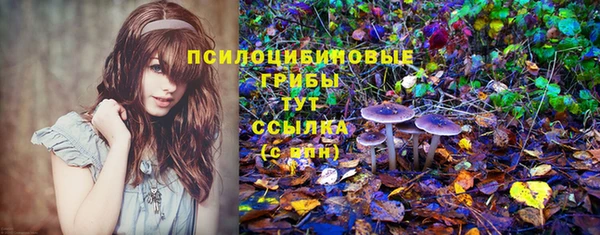 не бодяженный Надым