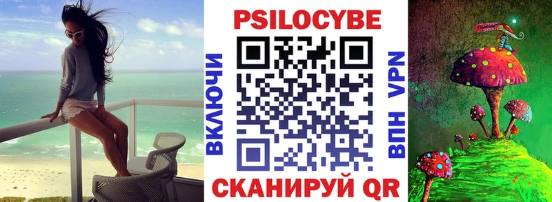блэк спрут как зайти Красный Сулин Псилоцибиновые грибы Psilocybine cubensis